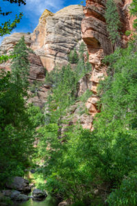 Arizona 18